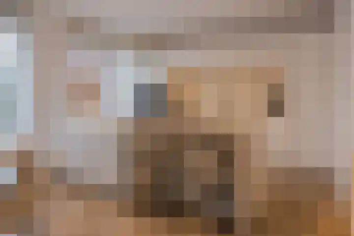 Trompstraat 27 Tilburg thumbnail 8