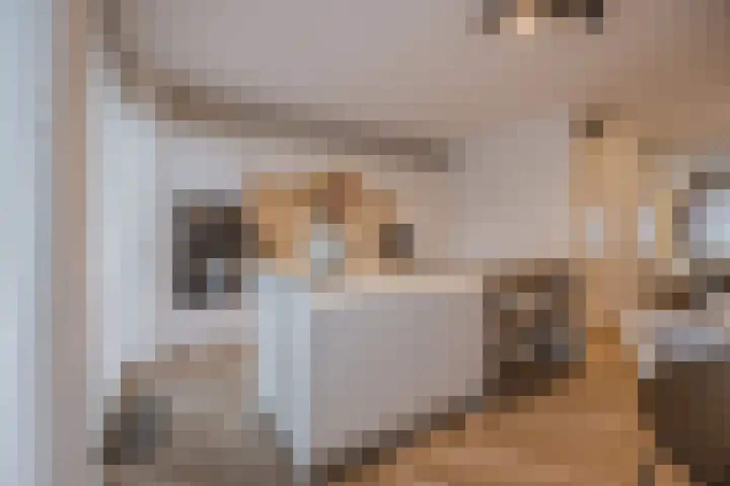 Trompstraat 27 Tilburg thumbnail 9