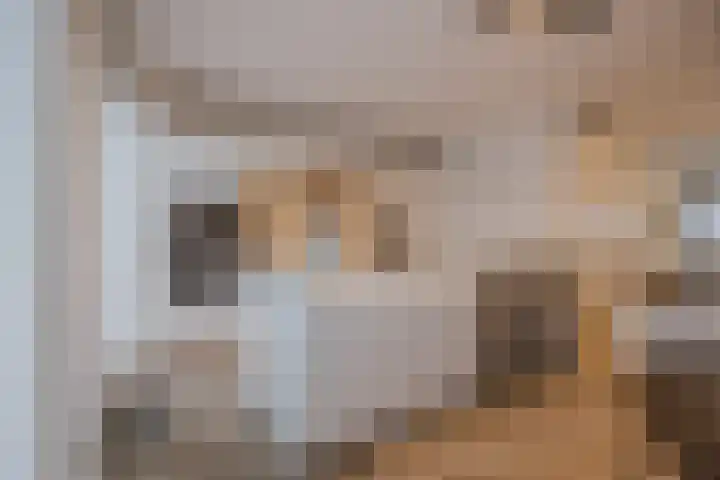 Trompstraat 27 Tilburg thumbnail 9