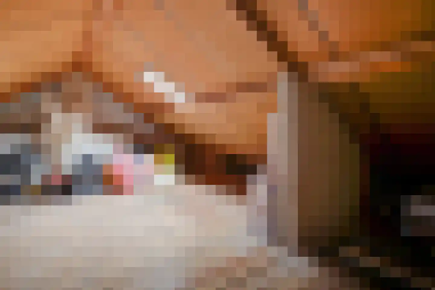 Trompstraat 28 Maasdijk thumbnail 19