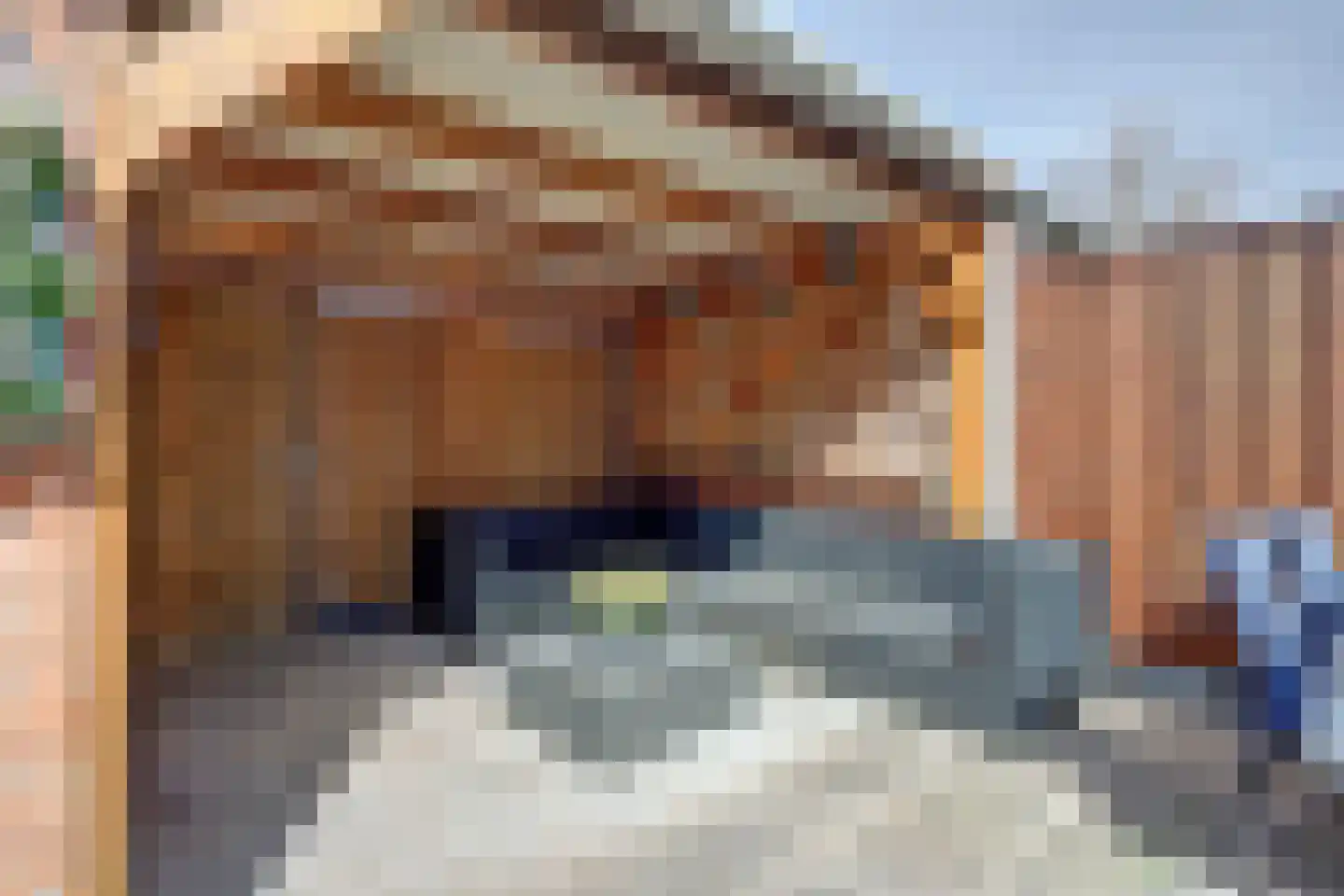 Trompstraat 28 Maasdijk thumbnail 23