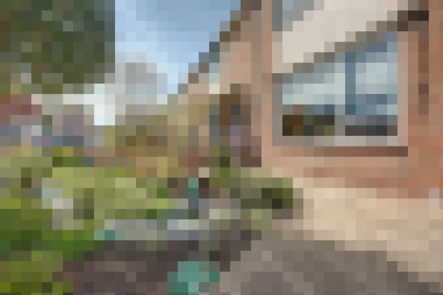Trompstraat 28 Maasdijk thumbnail 24