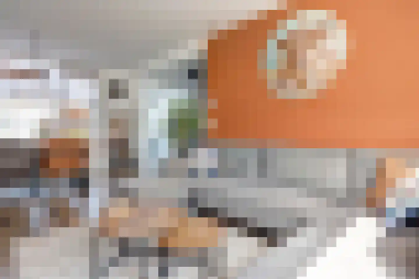 Trompstraat 28 Maasdijk thumbnail 6