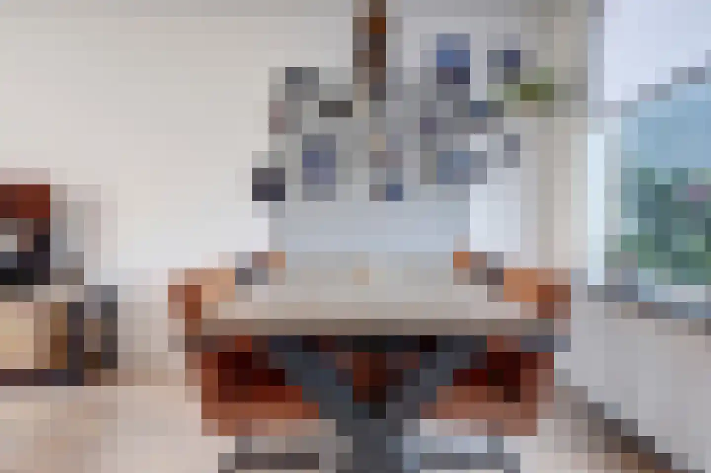 Trompstraat 28 Maasdijk thumbnail 7