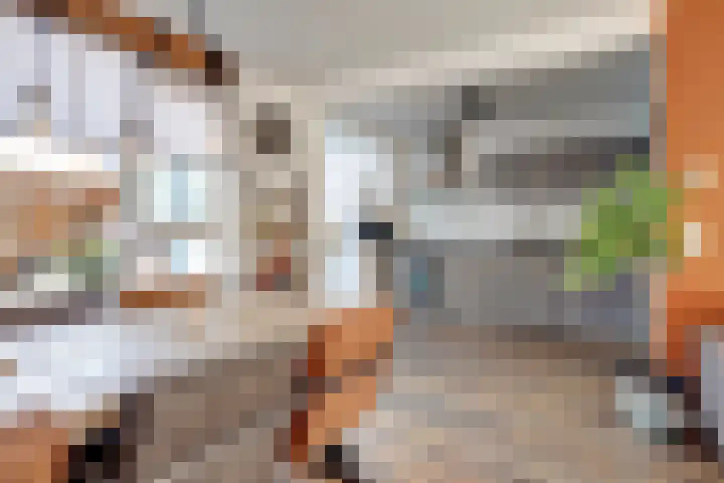 Trompstraat 28 Maasdijk thumbnail 8