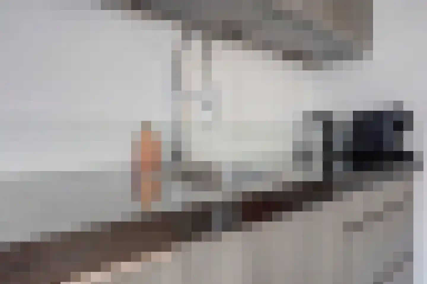 Trompstraat 28 Maasdijk thumbnail 9