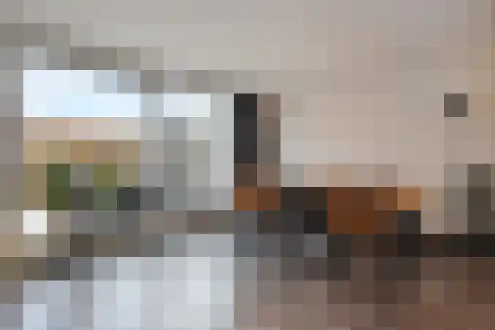 Trompstraat 29 Leidschendam thumbnail 30