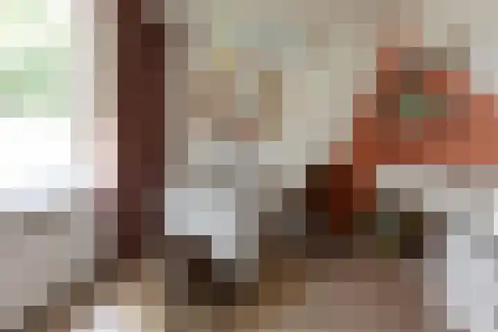 Trompstraat 3 Ede thumbnail 20