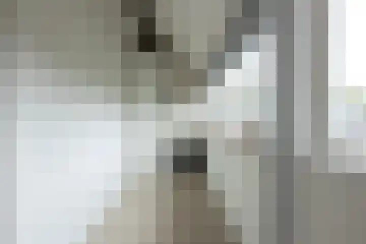 Trompstraat 3 Ede thumbnail 26