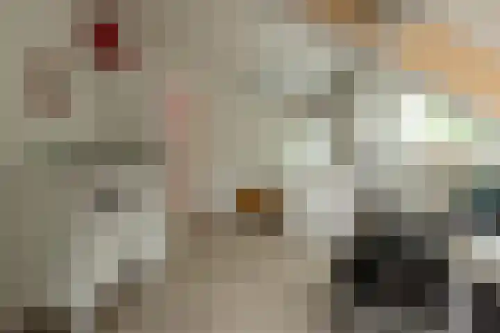Trompstraat 3 Ede thumbnail 30