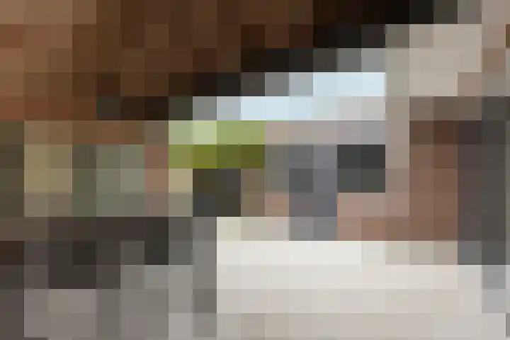 Trompstraat 3 Ede thumbnail 32