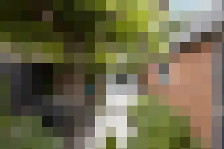 Trompstraat 3 Ede thumbnail 33