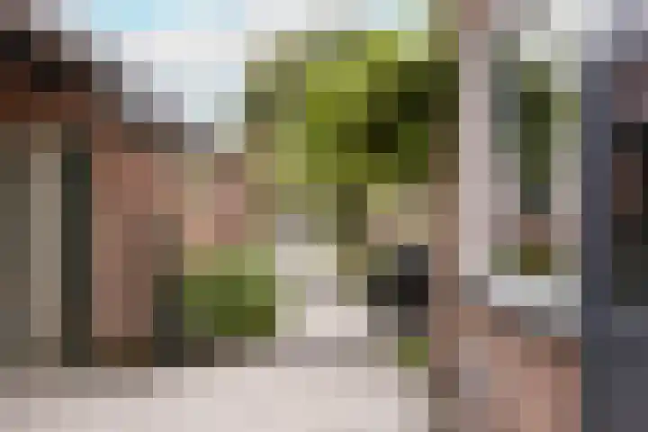Trompstraat 3 Ede thumbnail 34