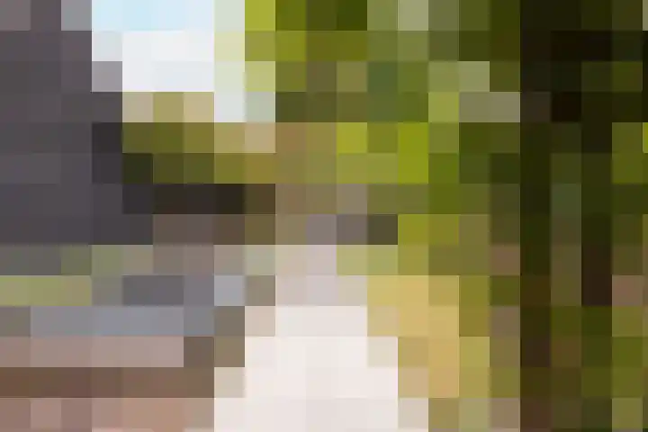 Trompstraat 3 Ede thumbnail 35