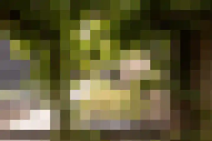 Trompstraat 3 Ede thumbnail 36
