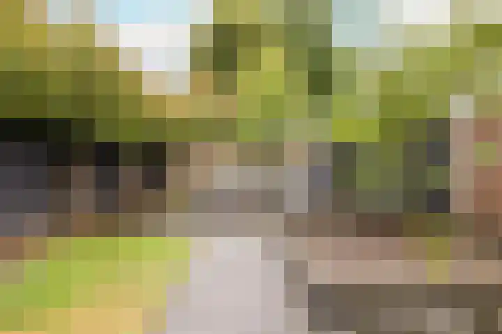 Trompstraat 3 Ede thumbnail 37