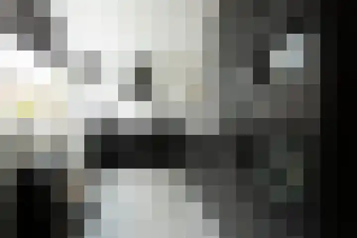 Trompstraat 3 Ede thumbnail 4