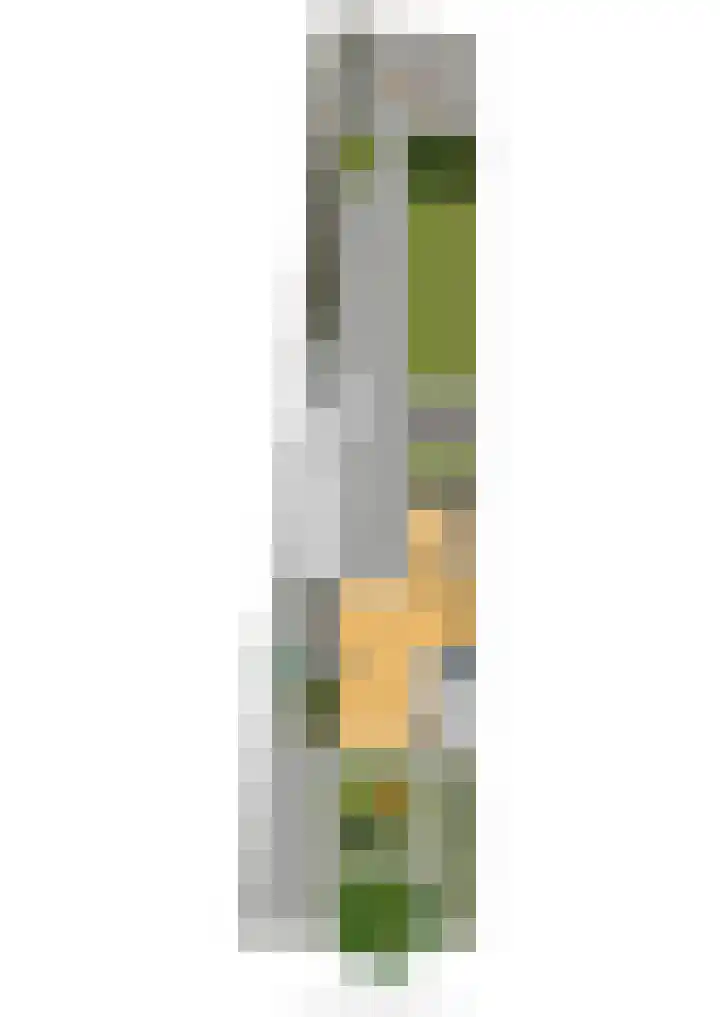 Trompstraat 3 Ede thumbnail 42
