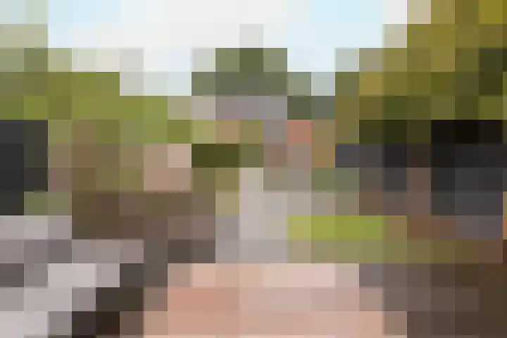 Trompstraat 3 Ede thumbnail 6
