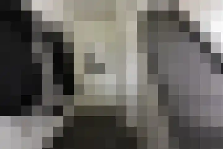 Trompstraat 3 Ede thumbnail 9