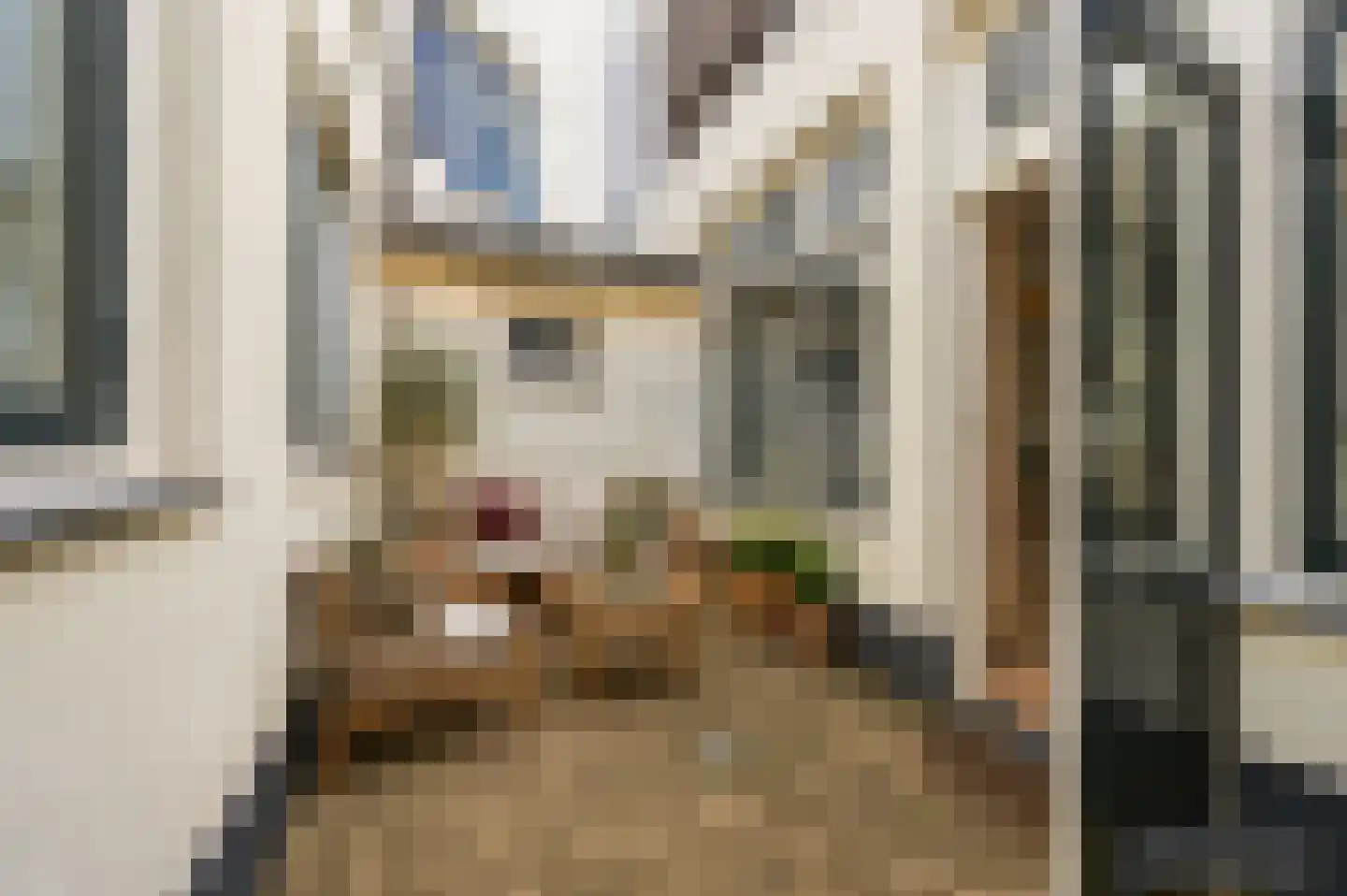 Trompstraat 306 Den Haag thumbnail 16