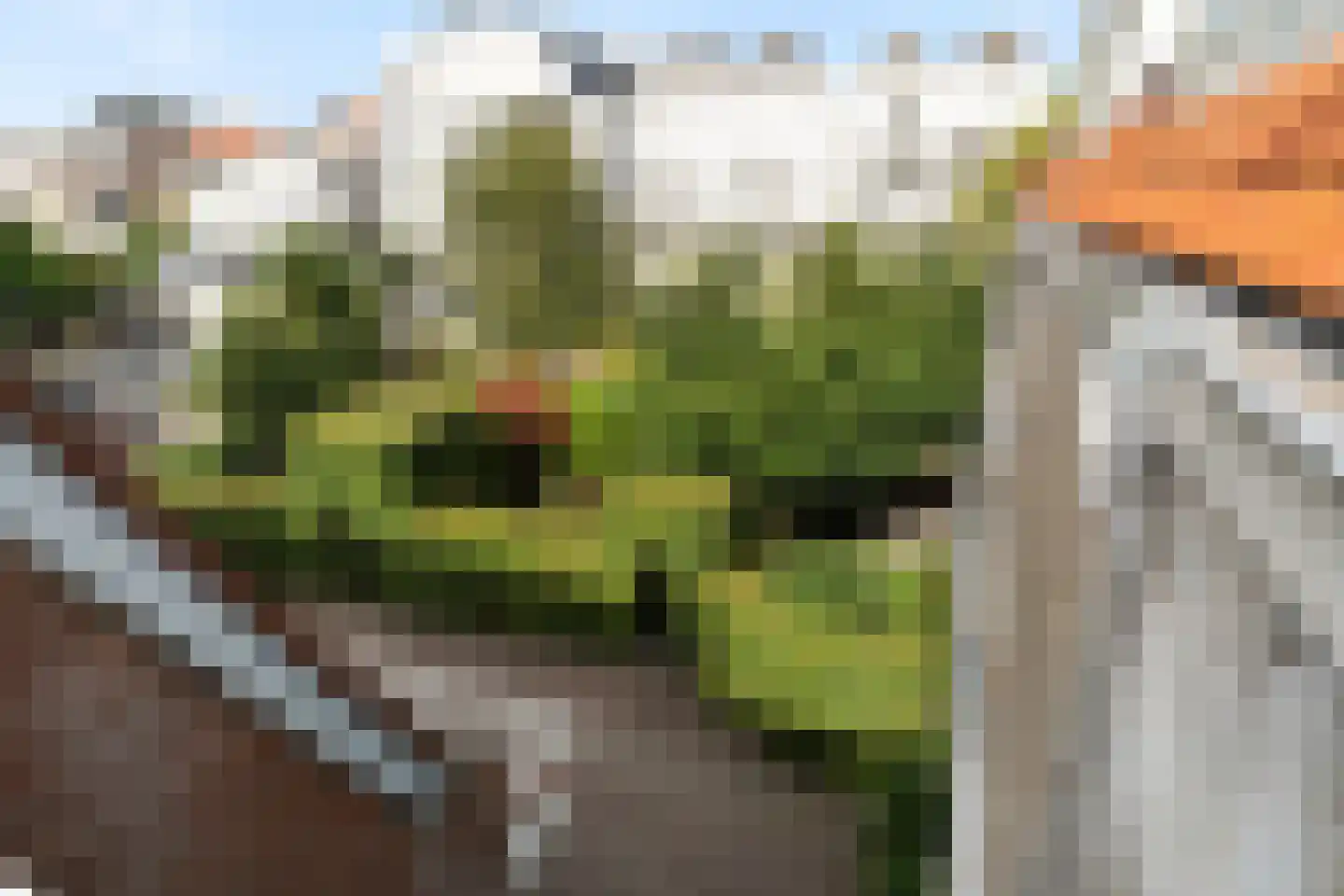 Trompstraat 31 Den Haag thumbnail 69