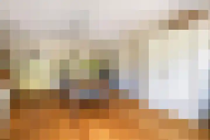 Trompstraat 32 Ede thumbnail 9