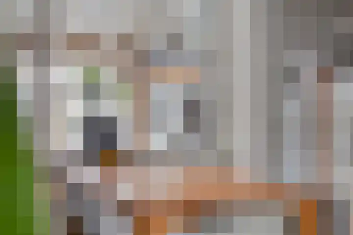 Trompstraat 34 Aalten thumbnail 10