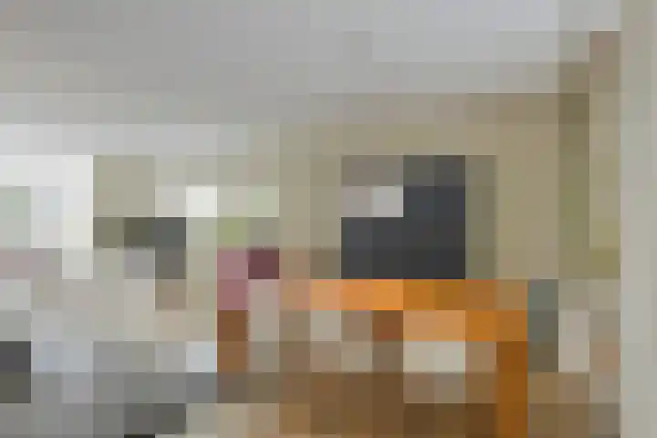 Trompstraat 34 Aalten thumbnail 14