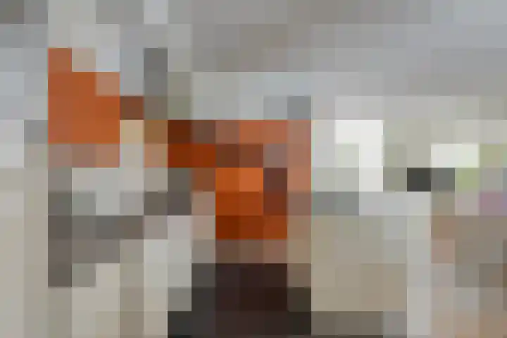Trompstraat 34 Aalten thumbnail 15