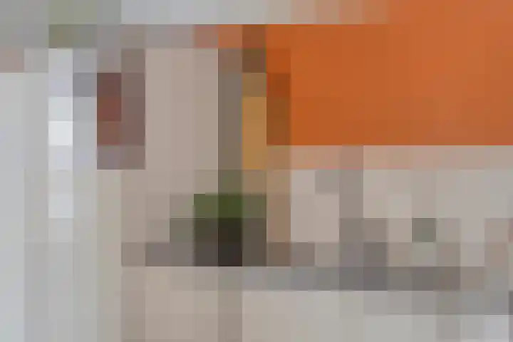 Trompstraat 34 Aalten thumbnail 16