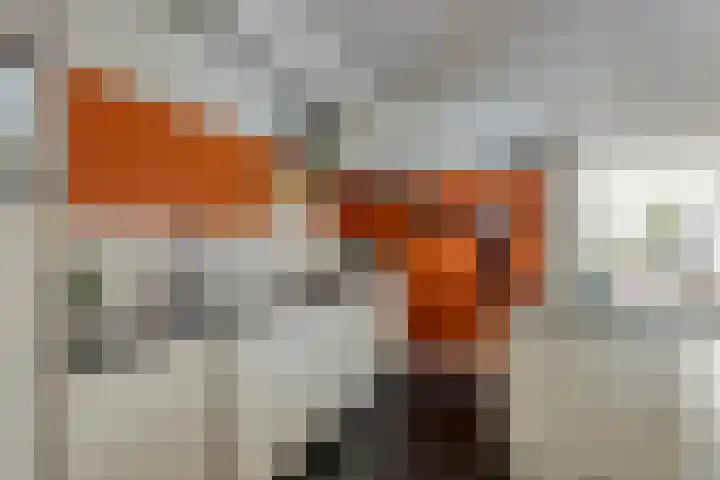 Trompstraat 34 Aalten thumbnail 17