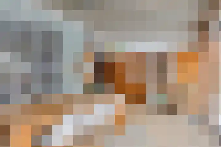 Trompstraat 34 Aalten thumbnail 24