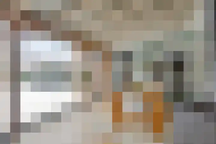 Trompstraat 34 Aalten thumbnail 25
