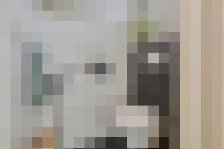 Trompstraat 34 Aalten thumbnail 30