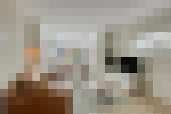 Trompstraat 34 Aalten thumbnail 5