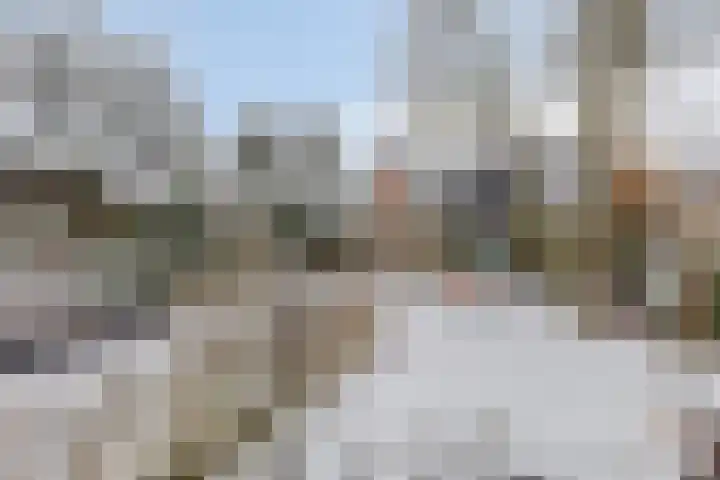 Trompstraat 34 Aalten thumbnail 53