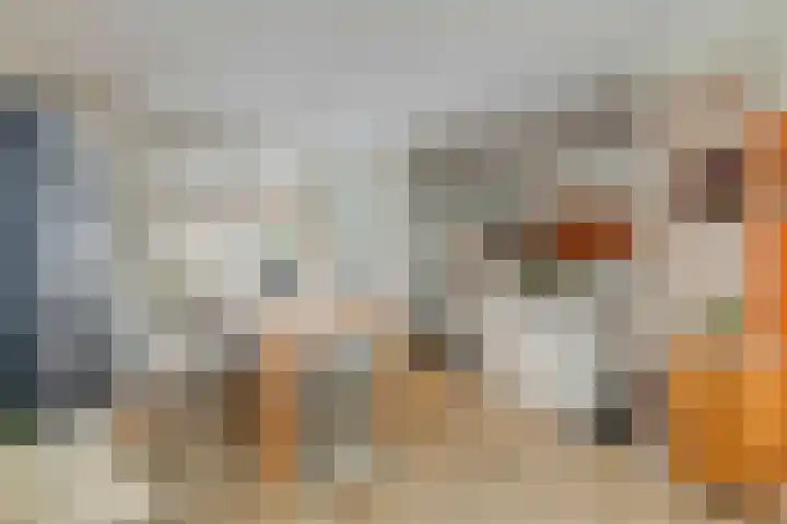 Trompstraat 34 Aalten thumbnail 9