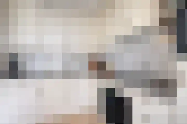 Trompstraat 35 Kloosterzande thumbnail 12