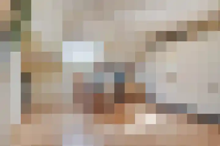 Trompstraat 35 Kloosterzande thumbnail 23