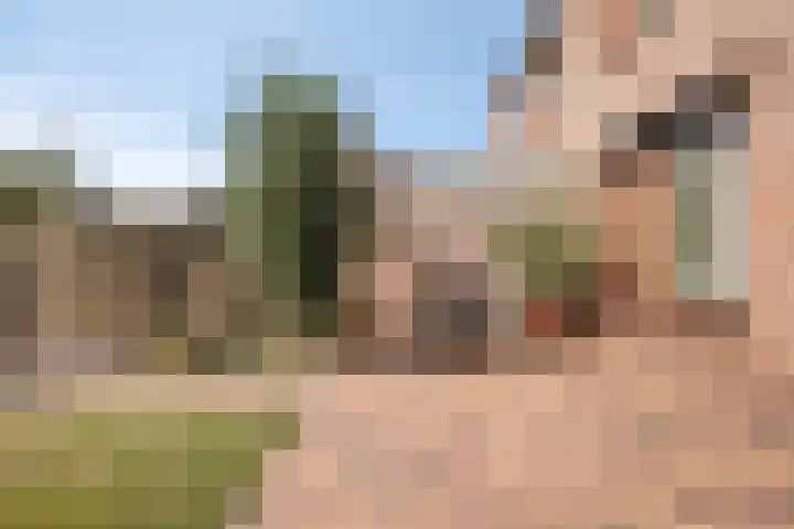 Trompstraat 35 Kloosterzande thumbnail 26