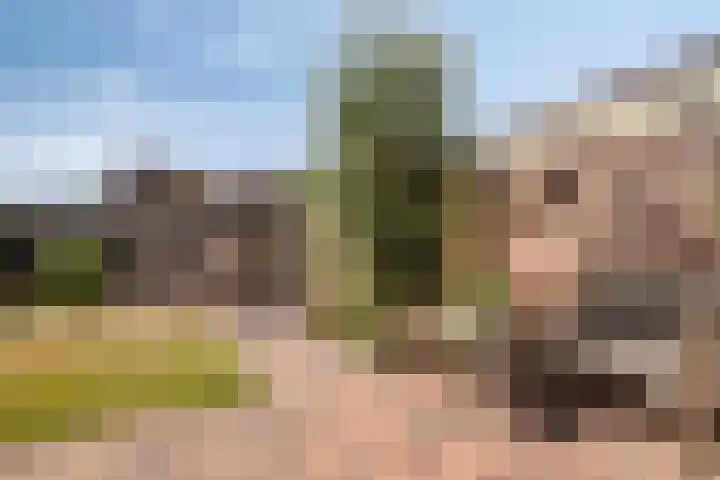 Trompstraat 35 Kloosterzande thumbnail 27