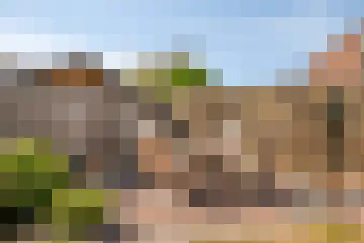 Trompstraat 35 Kloosterzande thumbnail 29