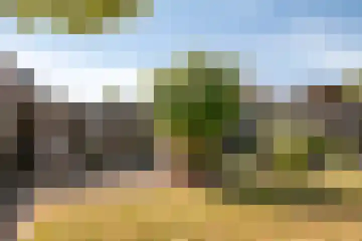 Trompstraat 35 Kloosterzande thumbnail 30