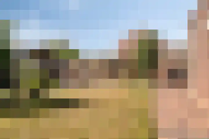 Trompstraat 35 Kloosterzande thumbnail 4