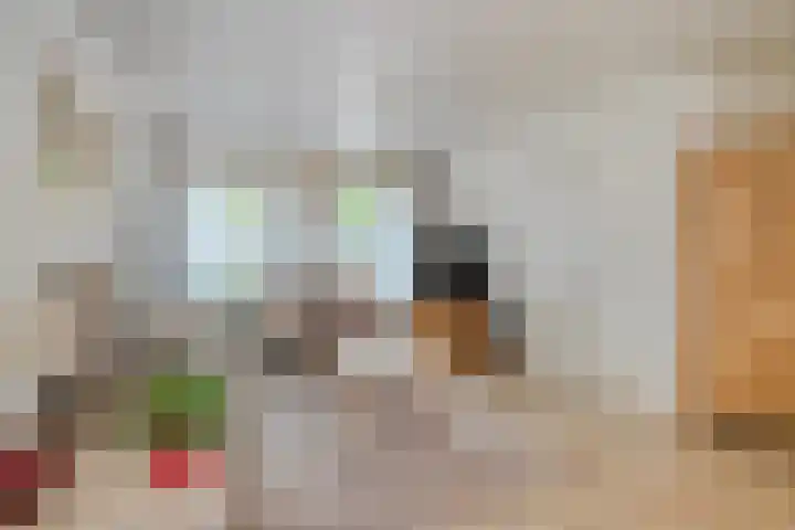Trompstraat 35 Kloosterzande thumbnail 6