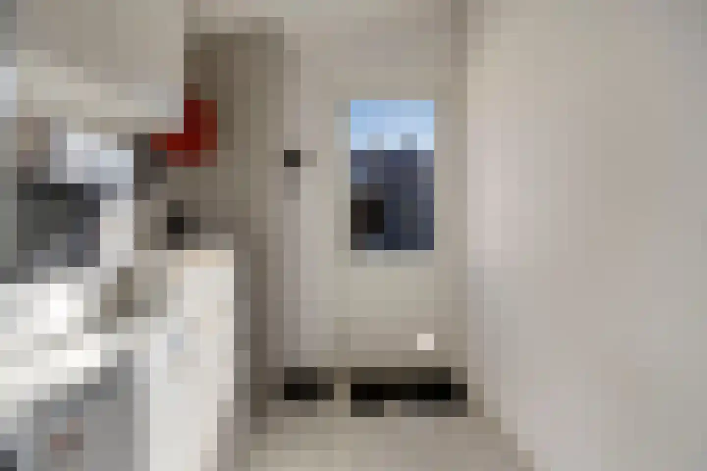 Trompstraat 36 Hoogezand thumbnail 12