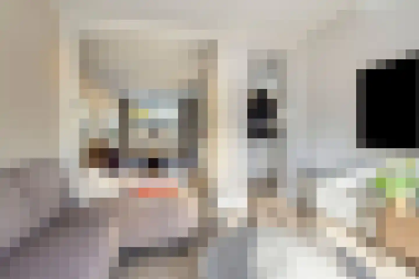 Trompstraat 36 Hoogezand thumbnail 5
