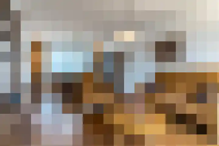 Trompstraat 38 Veghel thumbnail 11