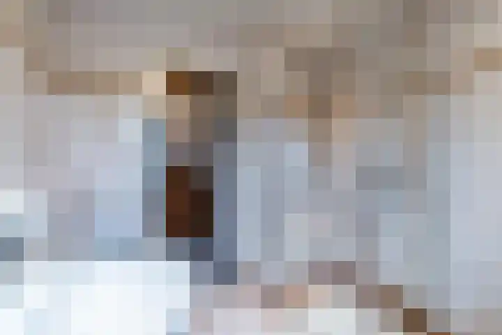 Trompstraat 38 Veghel thumbnail 23